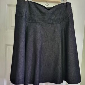 Ladies denim fit and flared skirt